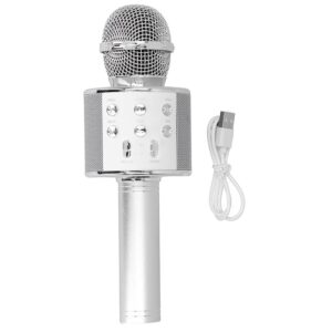 HANDHELD KTV WIRELESS MICROPHONE HIFI SPEAKER WS-858