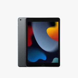 IPAD 9TH GNE 256GB WIFI